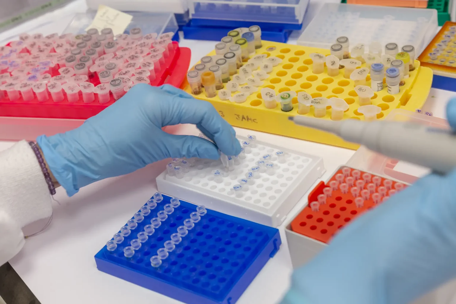 MIMO-bioscience-laboratorio-5